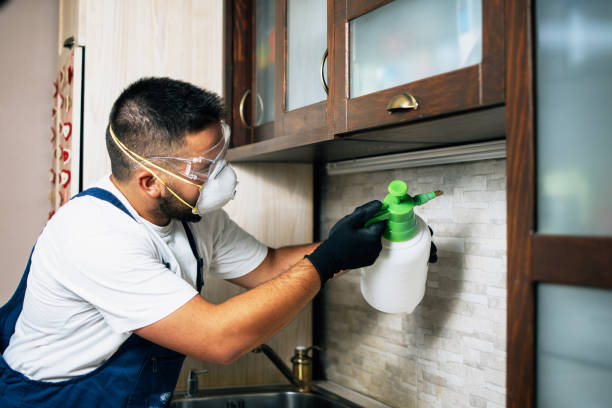 Best Pest Control for Businesses  in Plainview, TX