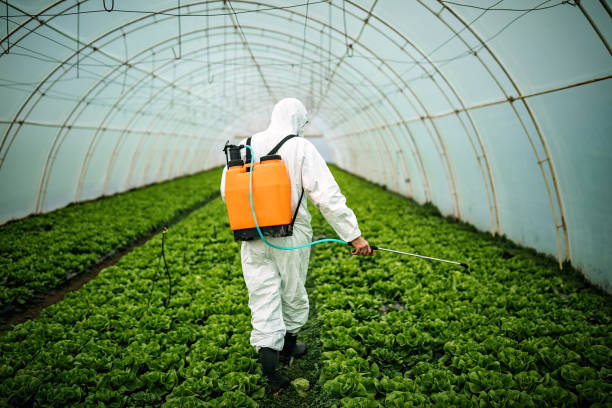 Pest Prevention Services in Plainview, TX