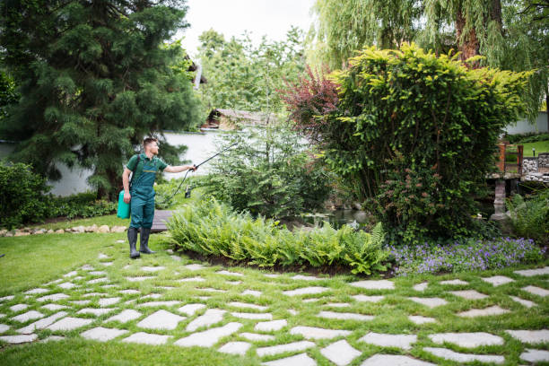 Best Residential Pest Control  in Plainview, TX