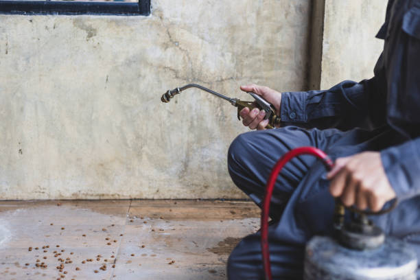 Reliable Plainview, TX Pest Control Solutions